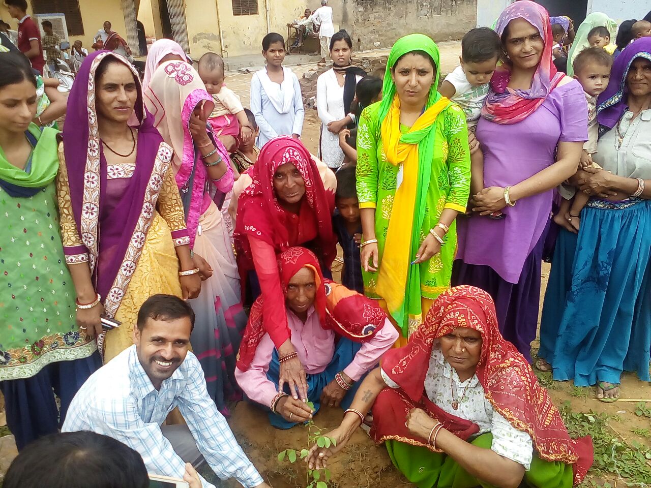 Tree Plantation
