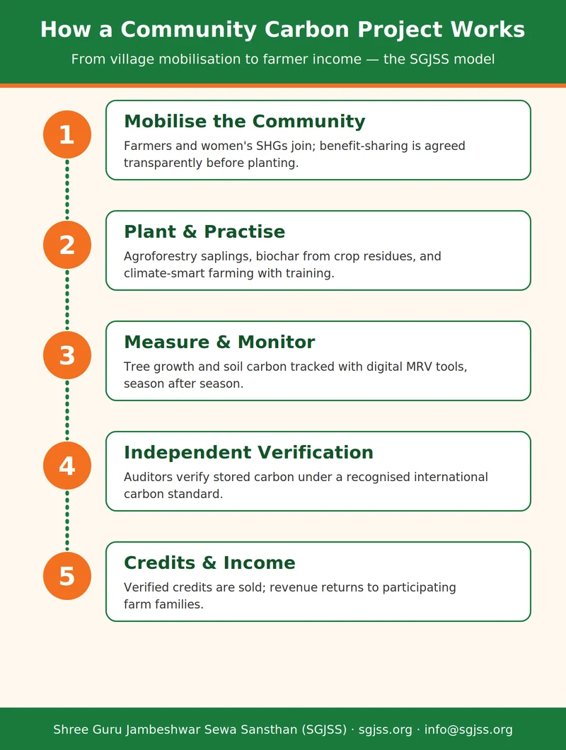 Five-step infographic showing how SGJSS’s community carbon project works, from village mobilisation to farmer income.